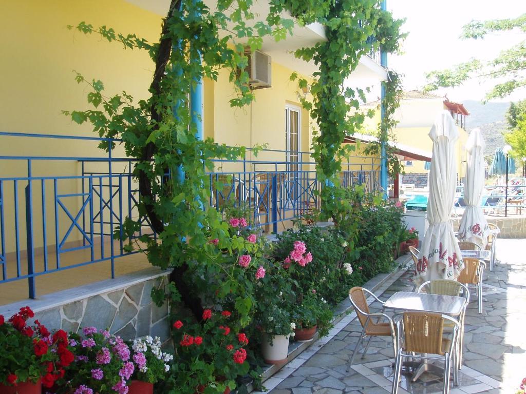 Anaxos Hotel Szoba fotó