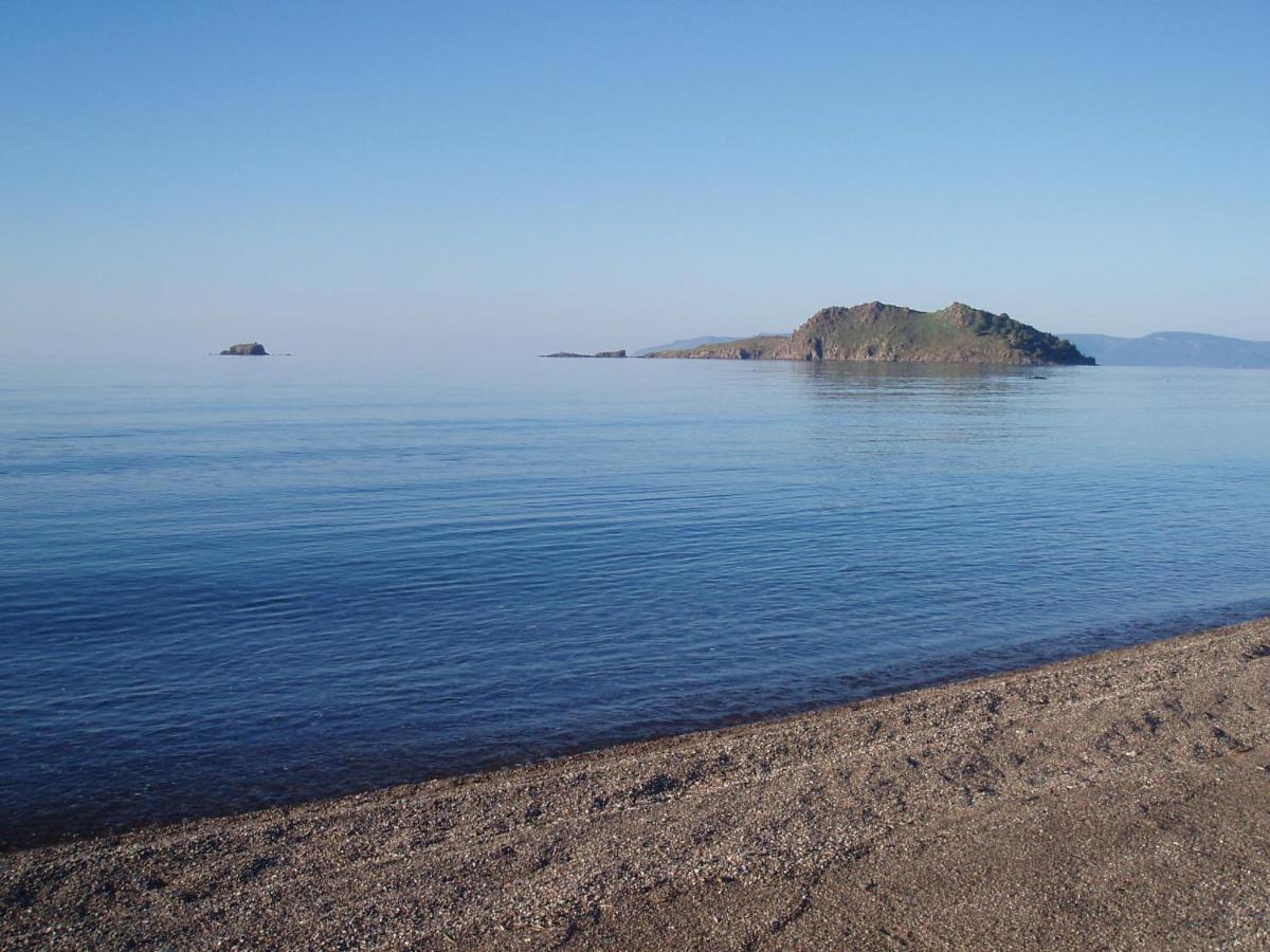 Anaxos Hotel Kültér fotó